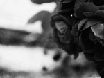 Fotoblog przyrodamoimokiem