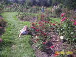 Fotoblog paula1703