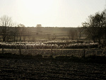 Fotoblog linian