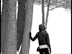 Fotoblog kronopio7