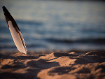 Fotoblog iza18