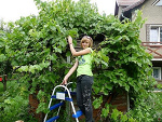 Fotoblog cukiereeeeczek