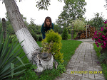 Fotoblog paluchy