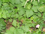Fotoblog cytatowswiat