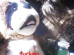 Fotoblog fuckingimperfects