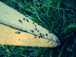 Fotoblog was17