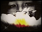 Fotoblog merry1237