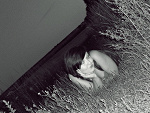 Fotoblog xxxdevilinflamexxx