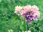 Fotoblog dzeeeny