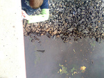 Fotoblog gabrys222