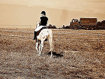 Fotoblog arabix