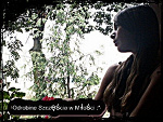 Fotoblog letus