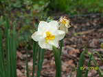 Fotoblog gaawkaa3