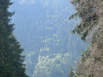 Fotoblog wagane