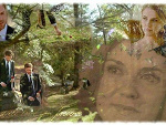 Fotoblog paulxxdd
