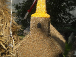 Fotoblog tropiciel1
