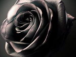 Fotoblog xxwerciaxx