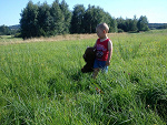 Fotoblog faatamorgana