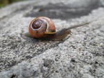 Fotoblog ogarnijchmuree