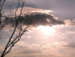 Fotoblog kotek31