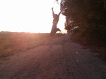 Fotoblog happiness162