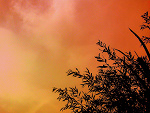 Fotoblog xgosiaaakx