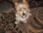 Fotoblog bejb33