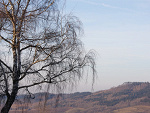 Fotoblog xbluexeyed
