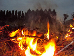 Fotoblog dobrowolski