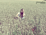 Fotoblog paaamelaa