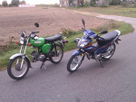 Fotoblog simmgreen