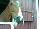 Fotoblog alehandroxdd