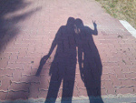 Fotoblog patka0721