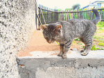 Fotoblog xxannxx