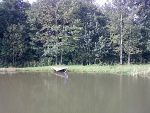 Fotoblog misio93