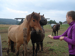 Fotoblog malpeczkaaa