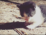 Fotoblog niepewnamarzycielka96