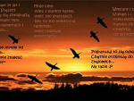 Fotoblog monik123
