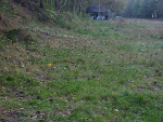 Fotoblog dzelaanddzela