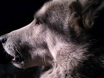 Fotoblog aldonkova