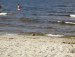 Fotoblog palisia112