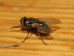 Fotoblog nothiiing