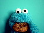 Fotoblog mylifexx3