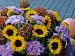 Fotoblog ggabba
