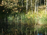 Fotoblog krajobrazowelaski