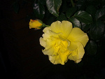 Fotoblog evcia27