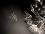 Fotoblog yummmyy