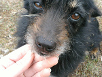 Fotoblog agata00053