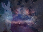 Fotoblog pammmmm
