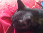 Fotoblog xmsjdcx